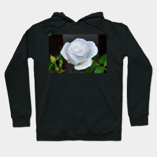 White Rose Hoodie